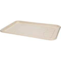 5100318 UPPLÄGGNINGSFAT BAGASSE 46X30