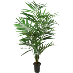 7203180 KONSTVÄXT KENTIA PALM 180CM