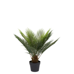 9488901 KONSTVÄXT CYCAS 60CM