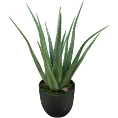 1946901 KONSTVÄXT ALOE VERA 55CM