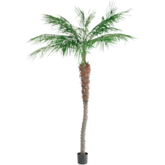 7390210 KONSTVÄXT PHOENIX PALM 210CM