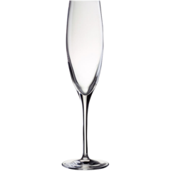 7001700 CHAMPAGNEGLAS PENELOPE 17CL