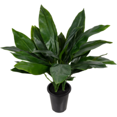 9606901 KONSTVÄXT ASPIDISTRA 75CM