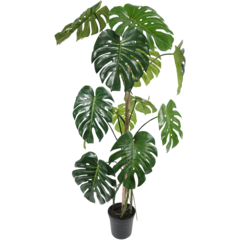 7102150 KONSTVÄXT MONSTERA 150CM