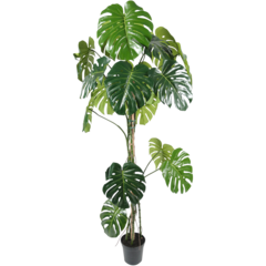 7102180 KONSTVÄXT MONSTERA 180CM