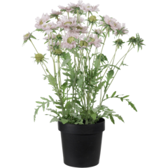 9688201 KONSTVÄXT SCABIOSA ROSA 70CM