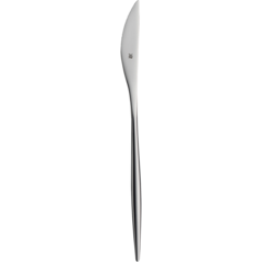 WMF5484066049 DESSERTKNIV ENIA 21,3CM