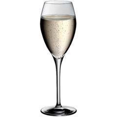 W5800200029 CHAMPAGNEGLAS 21CL