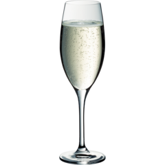 W5800100029 CHAMPAGNEGLAS 25CL